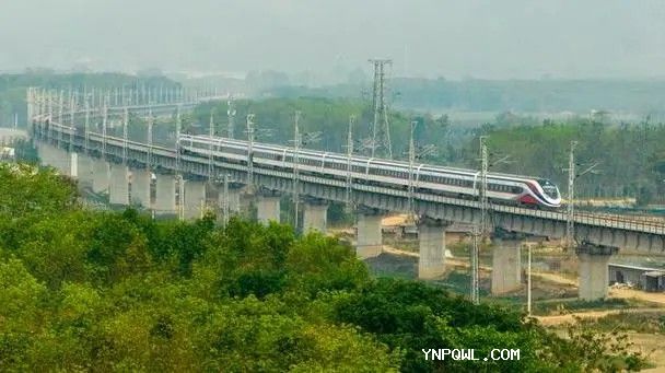 中老鐵路跨山海，區(qū)域協(xié)作優(yōu)勢(shì)更顯著