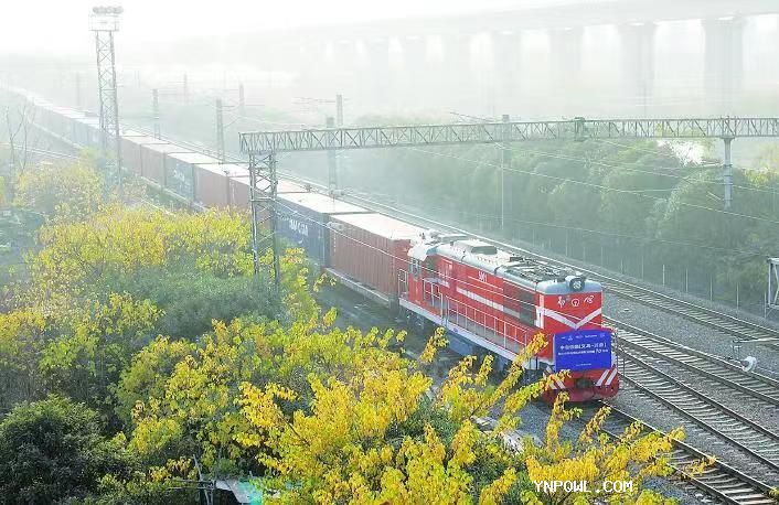 中老鐵路承運商品結(jié)構(gòu)不斷優(yōu)化拉動了貨運量快速增長
