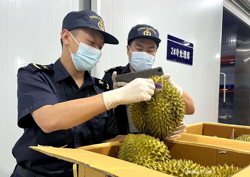 中老鐵路今年運輸水果突破10萬噸